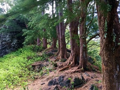 Rando randonnée trek trekking montagne sommet crête Rikitea Belvédère Piiti Kirimiro Mangareva Gambier Polynésie française