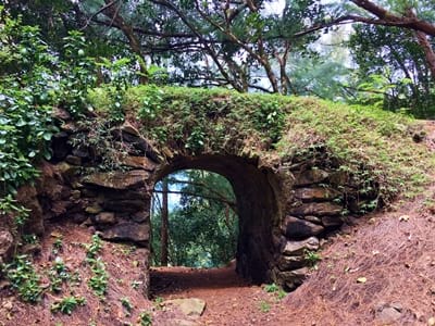 Rando randonnée trek trekking montagne sommet crête Rikitea Belvédère Piiti arche arc de triomphe Kirimiro Mangareva Gambier Polynésie française