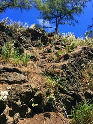 Rando randonnée trek trekking montagne sommet crête Rikitea Belvédère Piiti Kirimiro Mangareva Gambier Polynésie française
