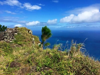 Rando randonnée trek trekking montagne sommet pic mont Duff Auorotini Rikitea Mangareva Gambier Polynésie française