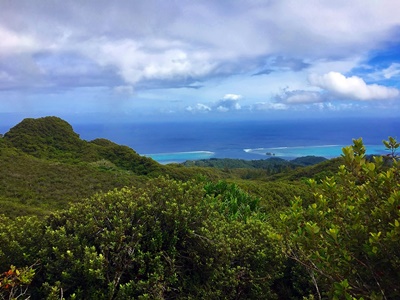 Rando randonnée trek trekking montagne sommet pic plateau mont Temehani Raiatea passe Polynésie française