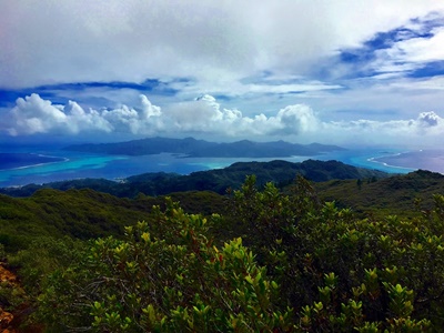 Rando randonnée trek trekking montagne sommet pic plateau mont Temehani Raiatea Tahaa Polynésie française