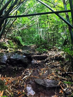 Rando randonnée trek trekking montagne vallée 3 trois cascades Raiatea bambou corde
