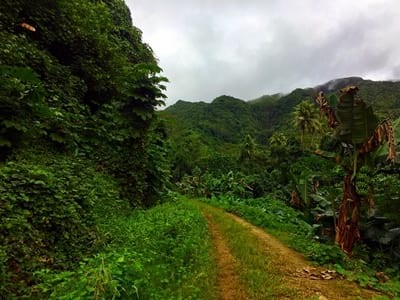 Rando randonnée trek trekking montagne vallée 3 trois cascades Raiatea Polynésie française