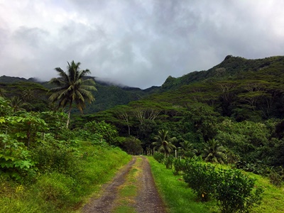 Rando randonnée trek trekking montagne vallée 3 trois cascades Raiatea Polynésie française