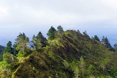 Rando randonnée trek trekking montagne sommet pic mont Manureva Moerai baie Avera Rurutu Polynésie française