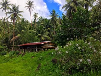 Rando randonnée trek trekking montagne traversière Tahaa baie Haamene Patio coprah Polynésie française