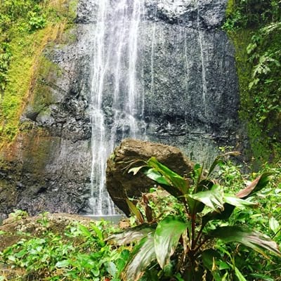 Rando randonnée trek trekking montagne cascade Vaioro Afareaitu Moorea Polynésie française