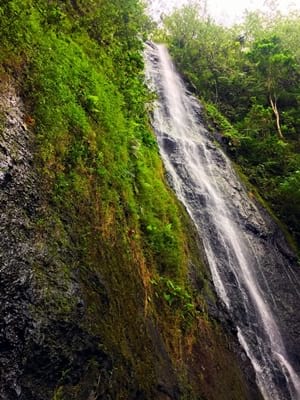 Rando randonnée trek trekking montagne cascade Vaioro Afareaitu Moorea Polynésie française
