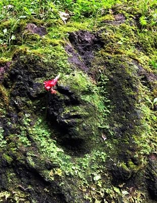 Rando randonnée trek trekking montagne cascade Vaioro Afareaitu Moorea Polynésie française