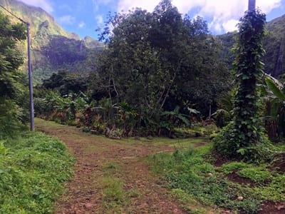 Rando randonnée trek trekking montagne cascades Putoa Atiraa Afareaitu Moorea Polynésie française