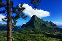 Rando randonnée trek trekking montagne sommet ile Moorea Polynésie française