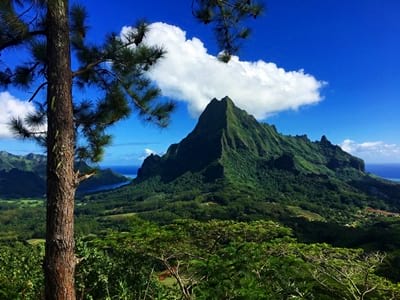 Rando randonnée trek trekking montagne sommet pic traversière col Vaiare port trois pinus Opunohu belvédère Moorea Polynésie française
