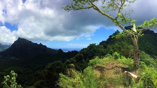 Rando randonnée trek trekking montagne sommet pic traversière col Vaiare port trois pinus Opunohu belvédère Moorea Polynésie française