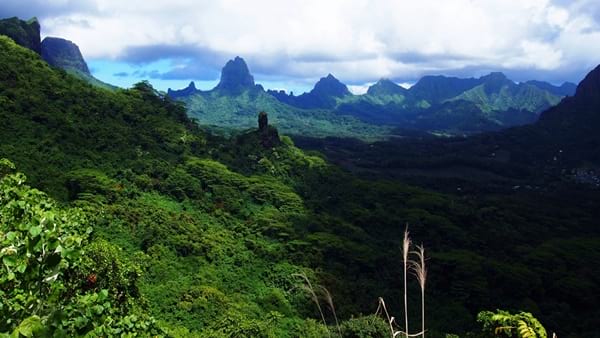 Rando randonnée trek trekking montagne sommet pic traversière col Vaiare port trois pinus Opunohu belvédère Moorea Polynésie française