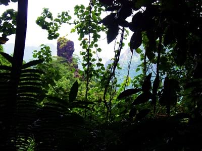Rando randonnée trek trekking montagne sommet pic traversière col Vaiare port trois pinus Opunohu belvédère Moorea Polynésie française