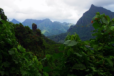 Rando randonnée trek trekking montagne sommet pic traversière col Vaiare port trois pinus Opunohu belvédère Moorea Polynésie française