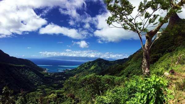 Rando randonnée trek trekking montagne sommet pic traversière col Vaiare port trois pinus Opunohu belvédère Moorea Polynésie française