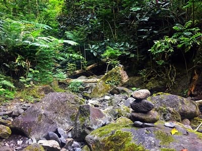 Rando randonnée trek trekking montagne cascade vallée Tipaerui Faaroa Tahiti Polynésie française