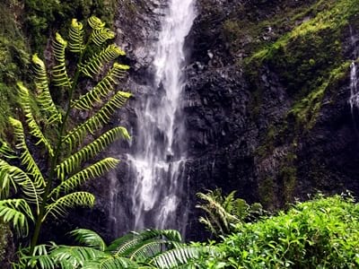 Rando randonnée trek trekking montagne vallée Fara'ura Faraura cascade 180m Hitiaa Tahiti Polynésie française