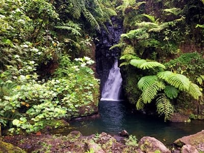 Rando randonnée trek trekking montagne vallée Fara'ura Faraura cascade Tapatea Hitiaa Tahiti Polynésie française