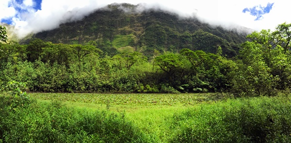 Rando randonnée trek trekking montagne vallée Onohea Tahiti Tiarei lac nénuphars Polynésie française